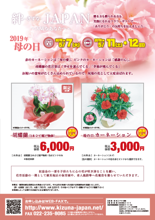 チラシ/申込用紙